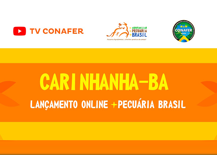 Programa Mais Pecuária Brasil será lançado nesta quarta-feira