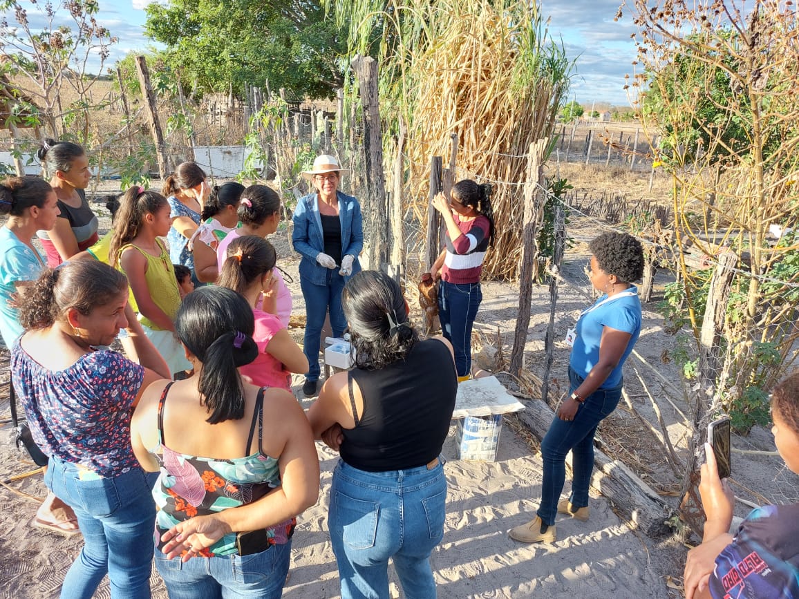 Curso para criação de galinhas caipiras reúne mulheres na comunidade do Cheira Cabelo